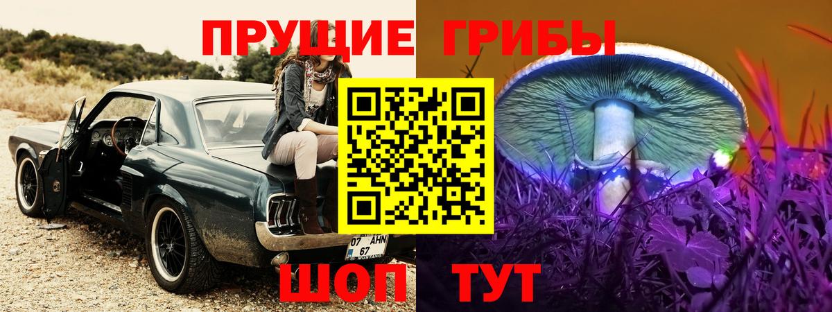 Псилоцибиновые грибы ЛСД Туапсе