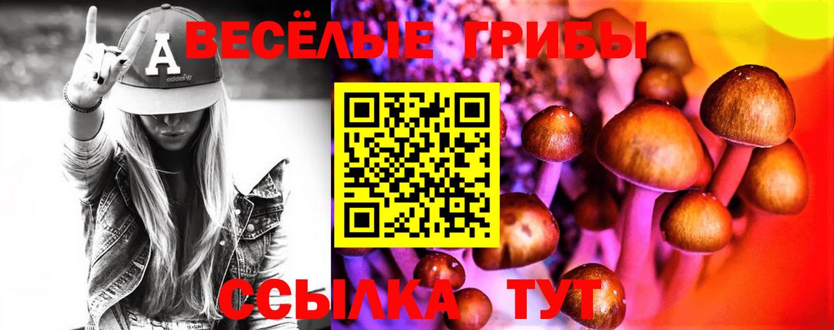 закладки  Вход с VPN  Туапсе  Псилоцибиновые грибы ЛСД 